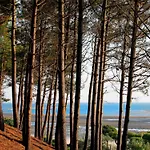 Appartement T3 76m² Avec Terrasse, Balcon, à 100m De La D'eyrac, Parking Et Wifi - Fr-1-420-154 Arcachon