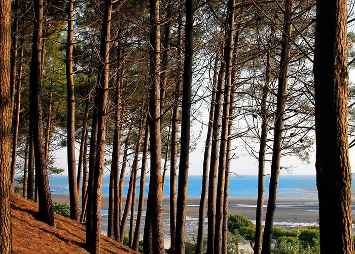 Lejlighed T3 76m² Avec Terrasse, Balcon, A 100m De La D'eyrac, Parking Et Wifi - Fr-1-420-154 Arcachon