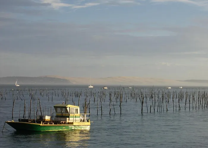 T3 76m² Avec Terrasse, Balcon, A 100m De La D'eyrac, Parking Et Wifi - Fr-1-420-154 * Arcachon